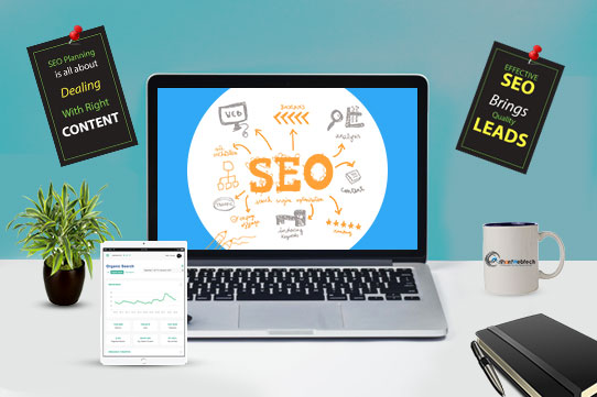Seo Optimization Service